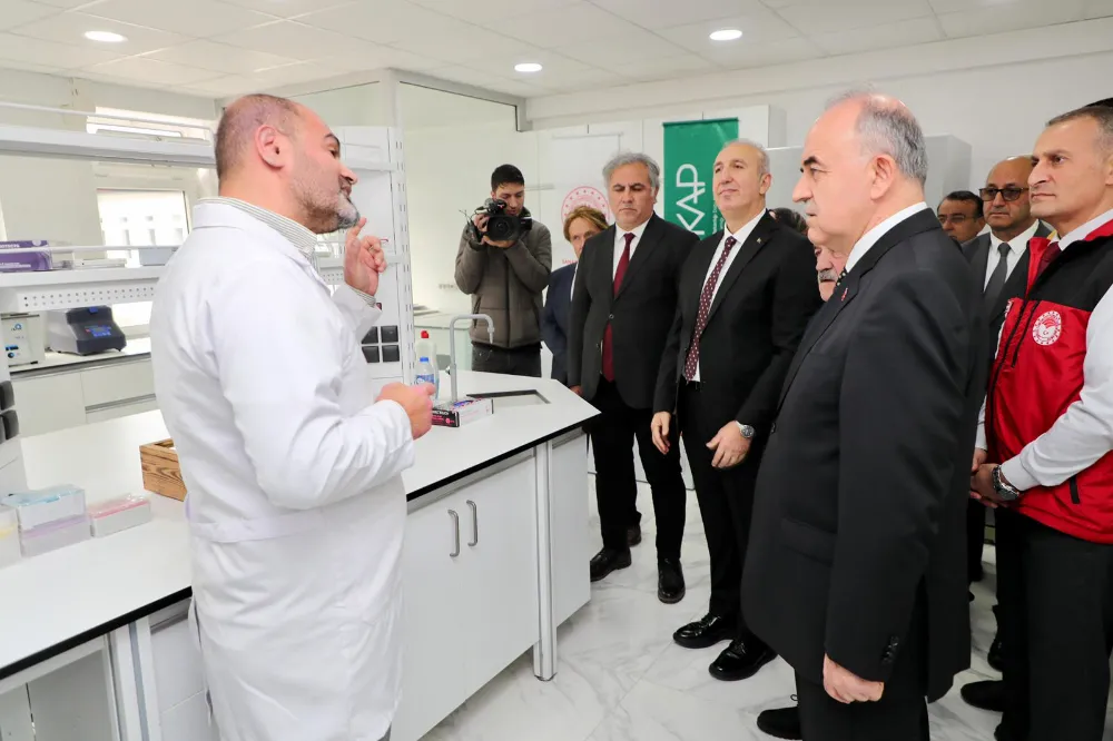 KARADENİZ BALINA GÜÇ KATACAK!